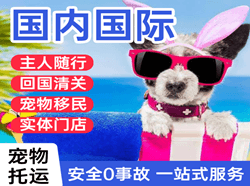 乌兰察布集宁空运国际宠物托运 【国
